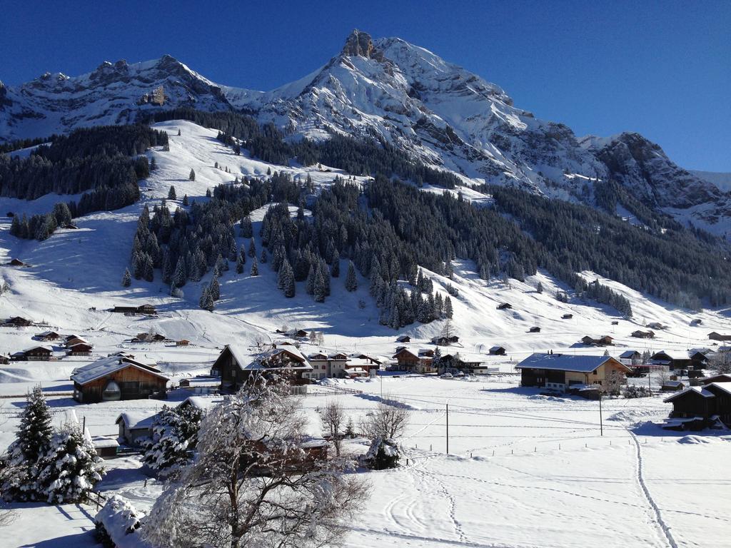 Chalet Butterfly Adelboden Quarto foto